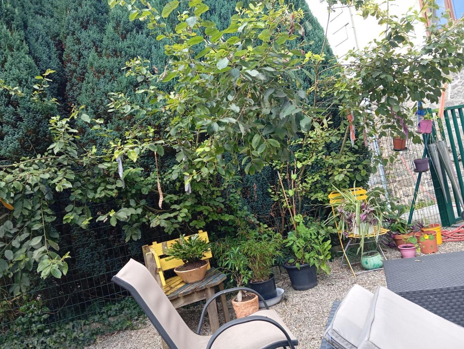 Apartamento Au Pied Du Gazon Saint-Maurice-sur-Moselle Exterior foto